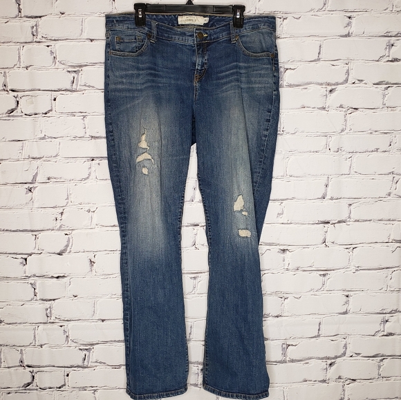Torrid Distressed Relaxed Boot Jeans